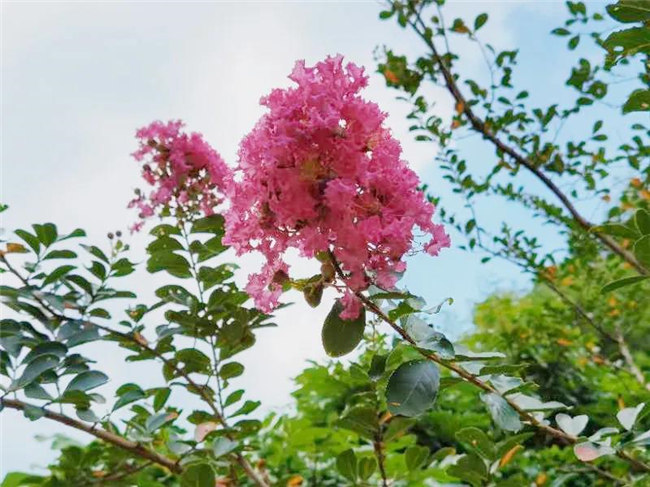 呼吸鮮氧,踐行公益——廣東博皓公益活動:星溪線公益環保活動 -5