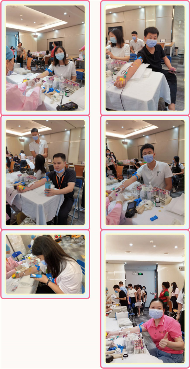 捐獻青春熱血，彩繪人生畫卷&mdash;&mdash;廣東博皓總班委組織了一次&ldquo;捐我熱血，呵護生命&rdquo;的無償獻血公益活動    -3