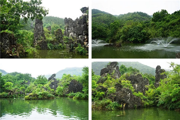 多彩貴州，魅力天下，2021年廣東博皓快樂貴州行-5