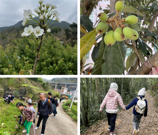 凝心聚力再出發，風雨同舟赴星溪！--廣東博皓2024龍年首登星溪之旅     -4