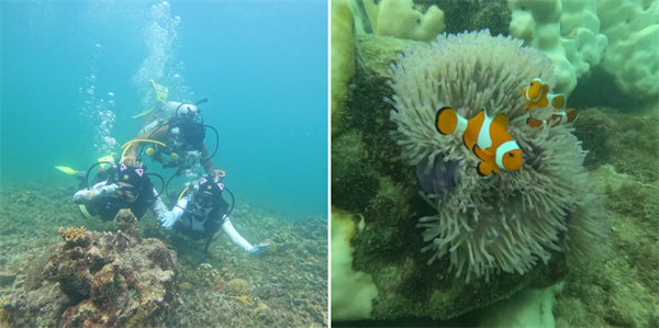 暢游碧海藍天，共筑團隊夢想&mdash;博皓沙巴風情之旅        -4
