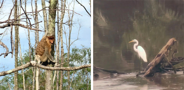 廿載風云一路行,馬來風情共見證——2024廣東博皓馬來西亞之旅 -13