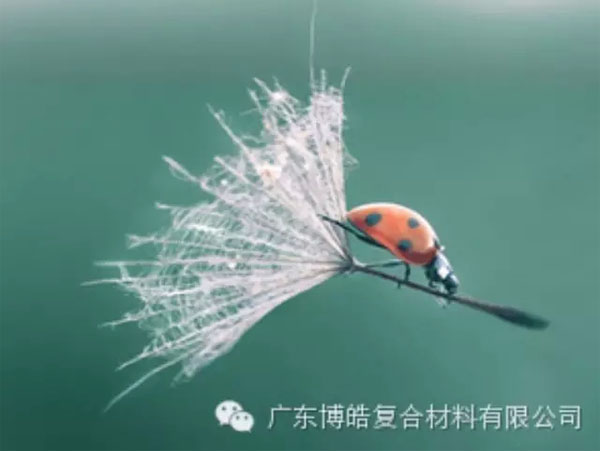 【博皓感悟】成功，要&ldquo;借力&rdquo;，不要&ldquo;盡力&rdquo;